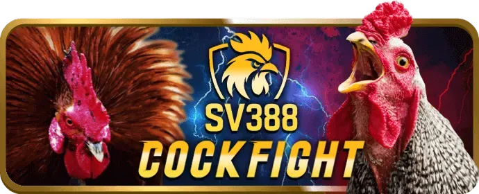 Người dùng chấp nhận điều khoản dịch vụ 89bet1 app